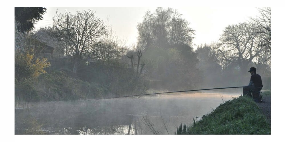What Is The Significance Of Mulcher Drum Teeth In Forestry Mulchers?
